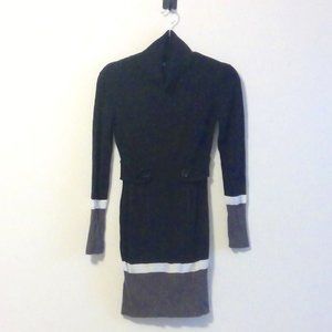 Winter Turtle neck fitted Dress Size small
